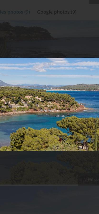 Charmant Studio Dans Villa - Jardin Privatif . La Seyne-sur-Mer Eksteriør billede